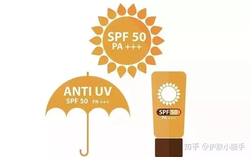 湛江市2025年高中阶段学校招生填报志愿工作在6月13日至18日进行