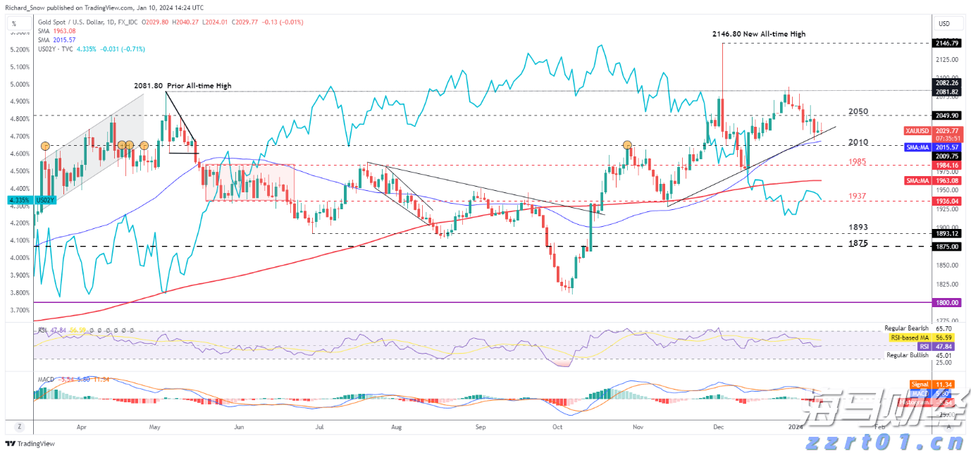 万人围坐齐享!阳江千桌渔家大宴吃什么?