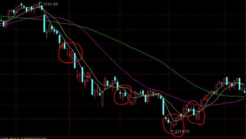 梅州市心血管病转化医学重点实验室在梅州市人民医院揭牌