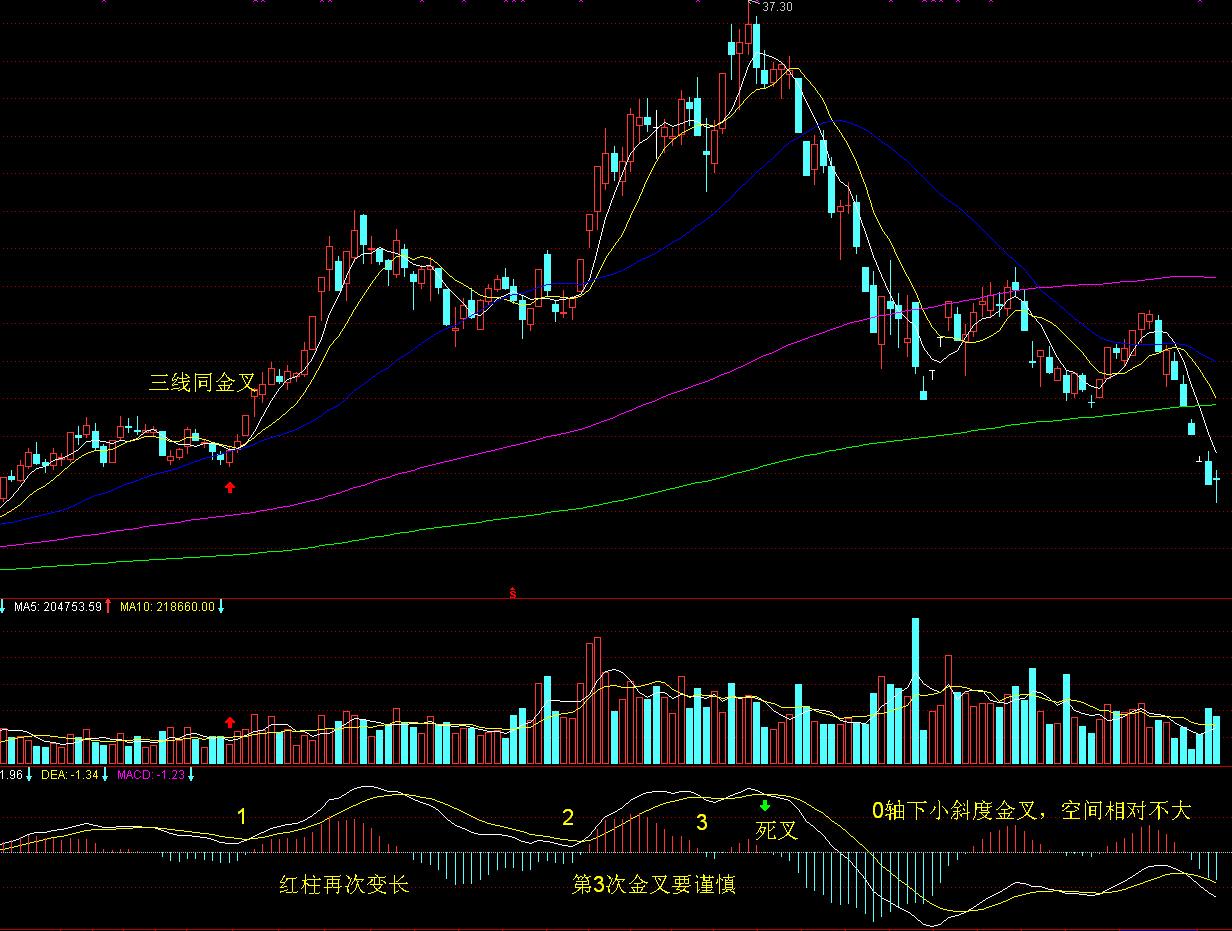 国际媒体聚焦:九三阅兵彰显中国实力,传递和平强音