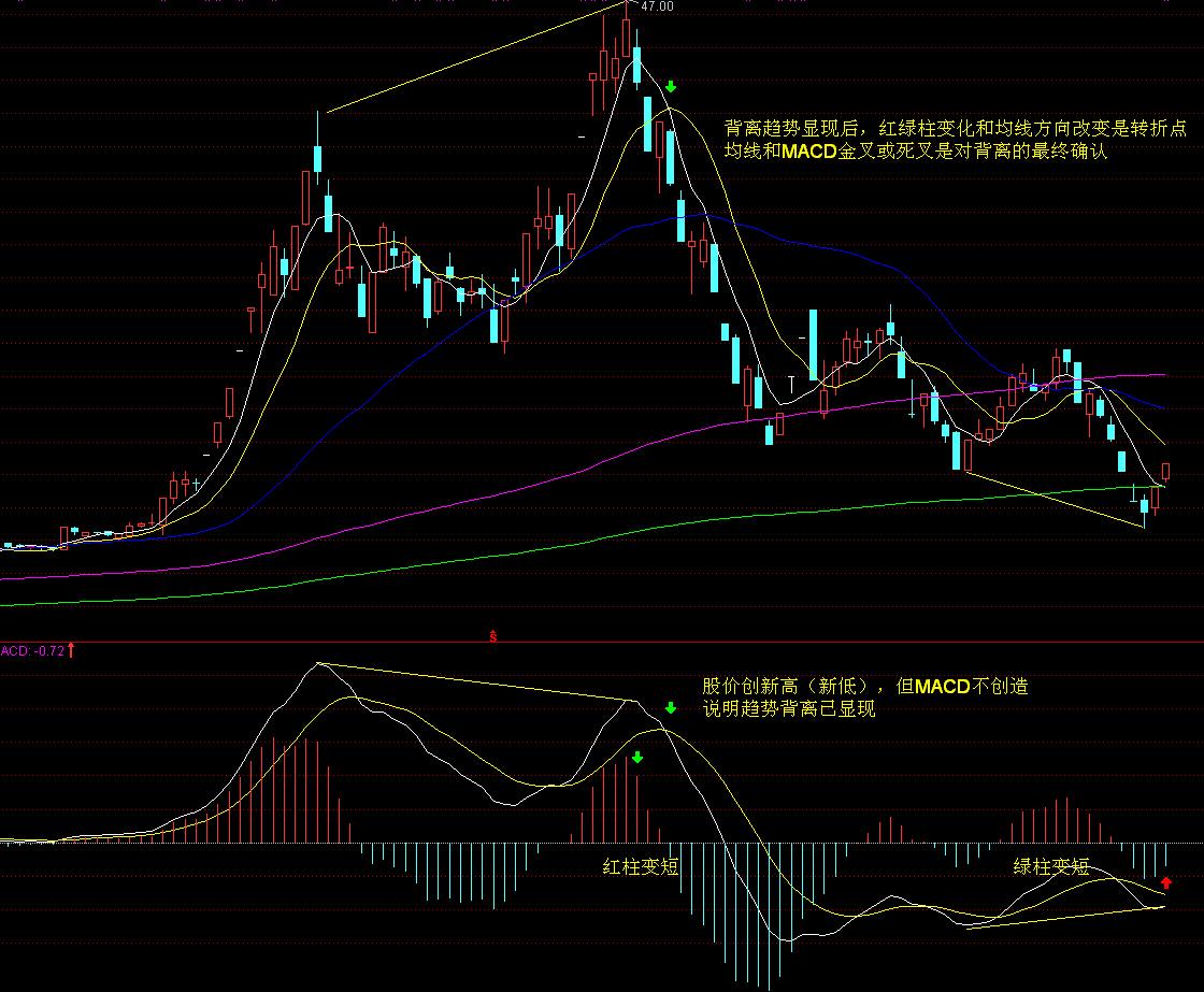 国际媒体聚焦:九三阅兵彰显中国实力,传递和平强音