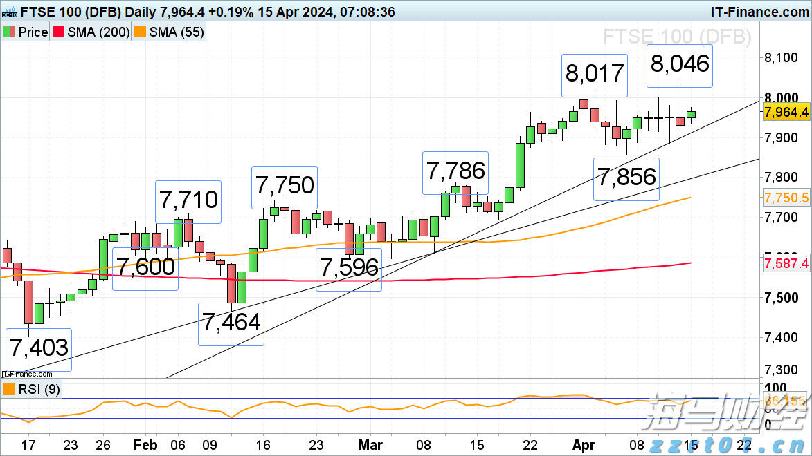 “稀客”紫背椋鸟到访福建